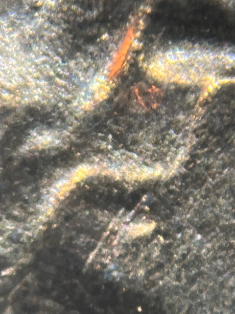 Lincoln-M�morial-Cent-1974-D-Over-Polishing--Mouth